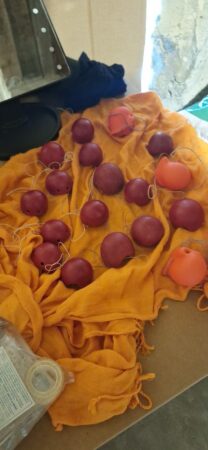 504380129_24434985546107769_5486919199666578579_n